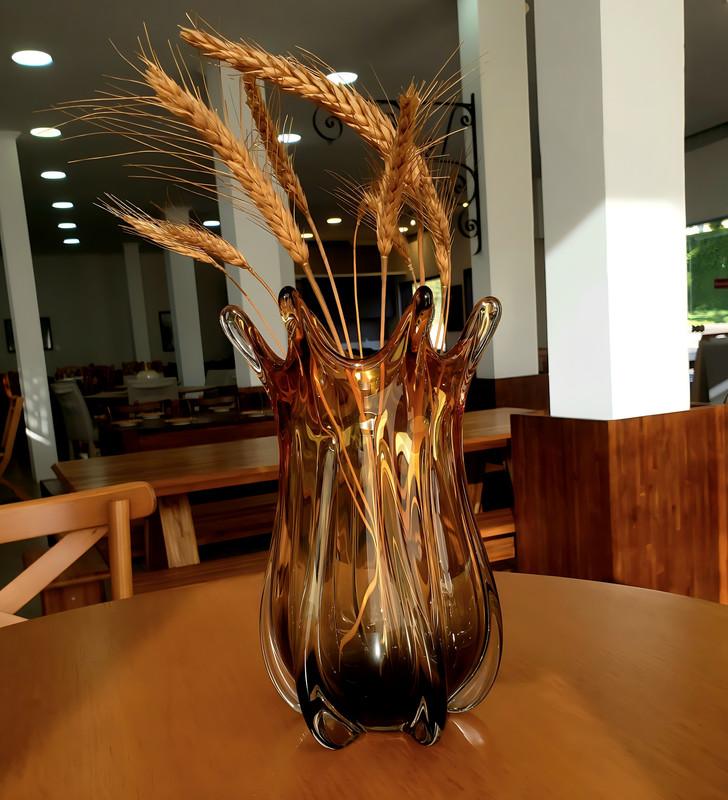 Vasos